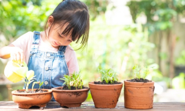 Mise en place de disciplines bien-être en primaire en lieu et place de l'anglais