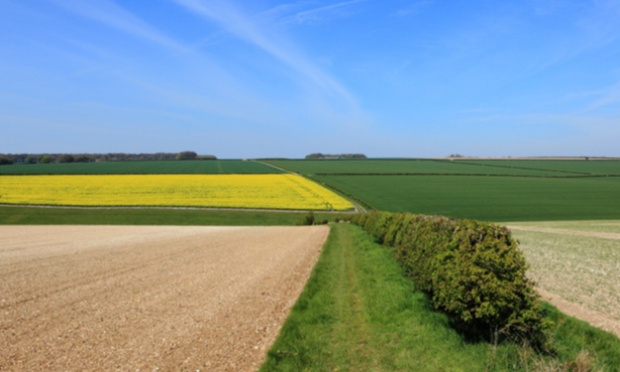 PLUS de haies dans nos champs pour MOINS de pesticides !