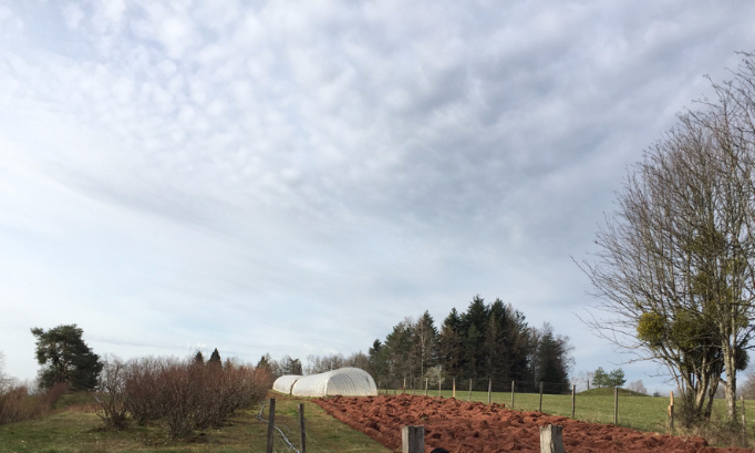 Annulation de l'implantation d'une antenne relais sur Petitmagny