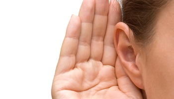 Pour une meilleure accessibilité aux études des étudiants sourds !