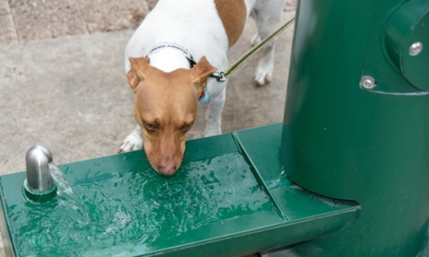 Ajout d'un point d'eau et d'un distributeur de sacs à déjections