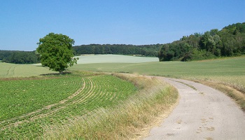Obtenons le droit de rouler sur les chemins !