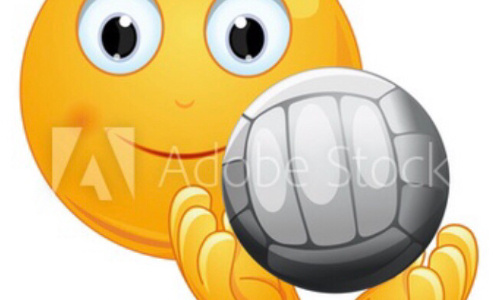 Demande d’insertion de l’emoji pétanque