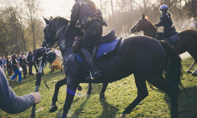 Stop à l’utilisation de chiens et de chevaux par les forces de l’ordre