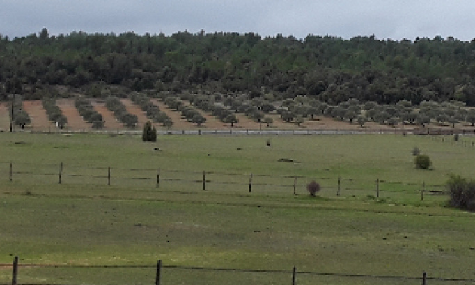 Stop à  la déforestation pour des parcs photovoltaïques