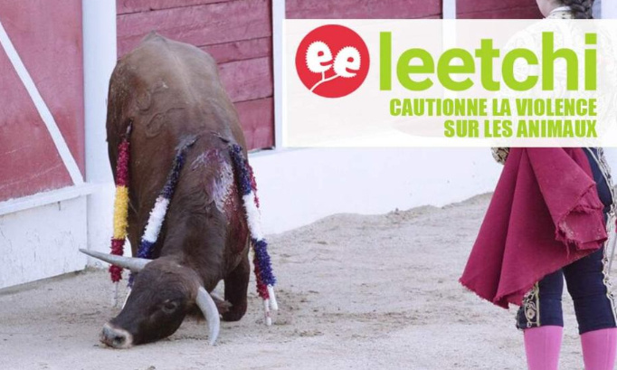 LEETCHI : Pour l'interdiction des cagnottes en lien avec la cruauté sur les animaux