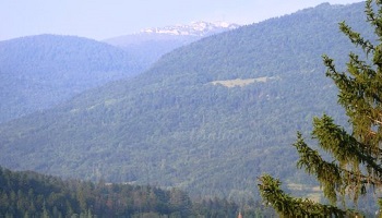 NON à la carrière sur le Fierloz !