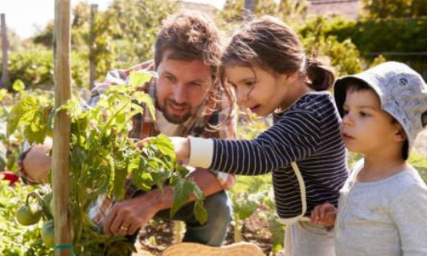 Soutien citoyen à une production alimentaire locale sur le territoire de Grand Lac / Projet Prés Nouveaux à Mouxy