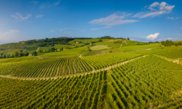 Sauvons nos paysages de la destruction.