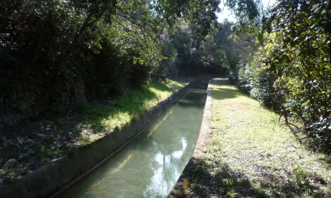 Eau Nature pour les Arbres ou Eau de Luxe pour Béton ?