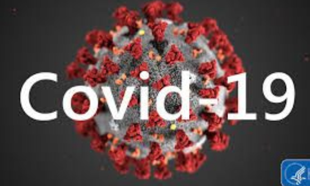 Le gouvernement doit écouter les experts !