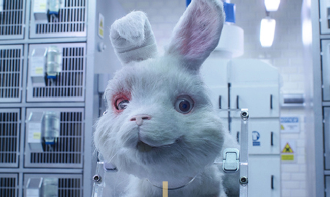 Protégeons nos animaux des marques!