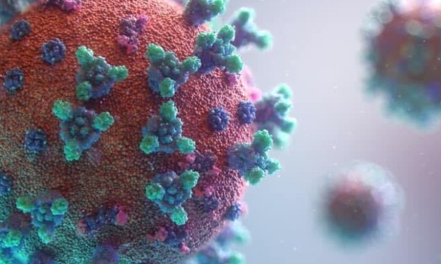 Nous demandons à Monsieur Hanouna de rectifier les propos tenus lors de son émission du 22 avril 2021 sur C8 concernant les enfants malades de la covid