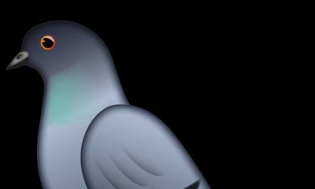 Emoji pigeon