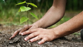 Chômage et écologie !