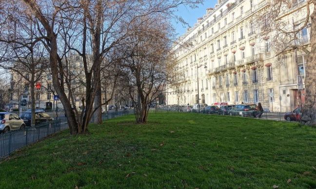 Pour la création d'un parc canin Place du Général Catroux !