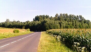 Pour la sécurisation de la départementale D111 !