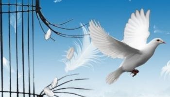 Puis-je enfin travailler et étudier avec mon voile ?