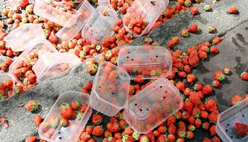 Donnons les denrées invendues aux SDF !