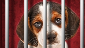 Fermons le centre d'élevage du domaine des souches à Mézilles