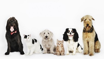 Empêchez notre expulsion !