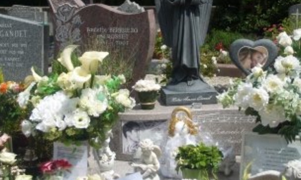 Stop aux vols qui ne s'arrêtent plus !