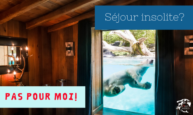 OURS POLAIRES, MORSES : STOP À LA MODE DES LODGES DANS LES ZOOS AU DÉTRIMENT DU BIEN-ETRE ANIMAL !