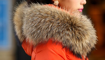 Fourrures : esclaves de la mode malgré nous !