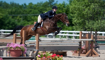 Pour réglementer toutes les activités équestres confondues selon les régles de la fédération équestre du Québec