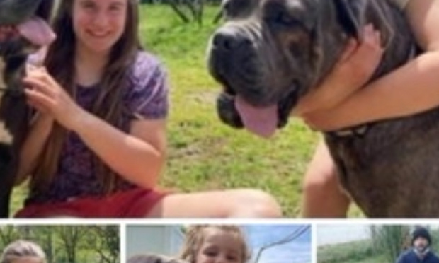 Non à l'euthanasie des Cane Corso !