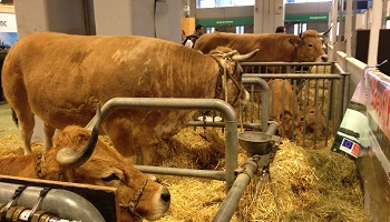 Pour des Salons Agricoles plus cohérents !