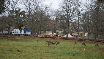 Stop aux travaux du Parc aux Daims de Châteauvillain
