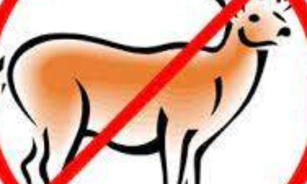 Au secours ! Il faut d'urgence réguler les populations de cervidés, chevreuils et sangliers.