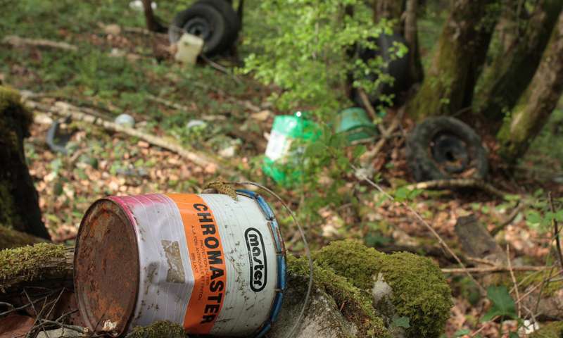 Ecodélinquance : protégeons nos forêts !