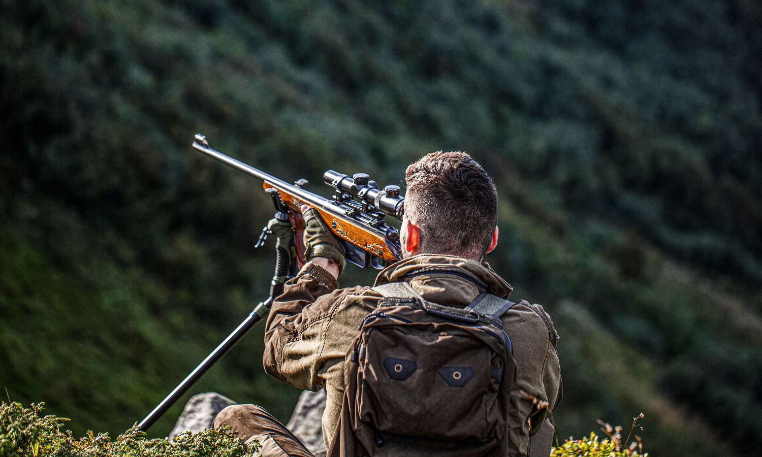 Chasse plus encadrée, promeneurs en sécurité !