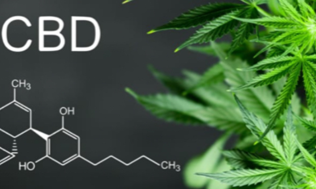 Contre l’interdiction de la vente de fleurs de cbd