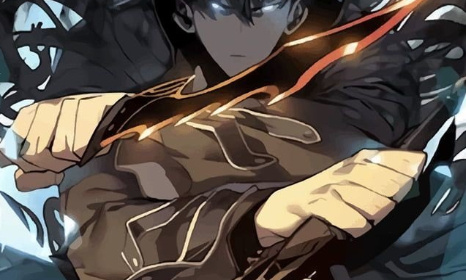 Solo Leveling Adaptation en anim&eacute;