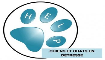 Pour une meilleure prise en charge des animaux de compagnie sur le territoire d'Hénin/Carvin (62)