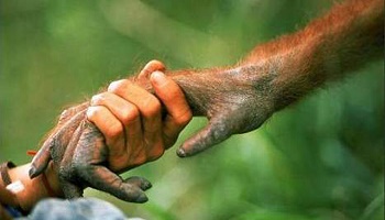 Pour une bonne cohabitation