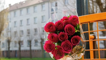 Pour Chloé et tous les anges, rétablissons la peine de mort !