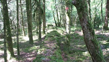 Pour des fouilles archéologiques dans le Jura, afin de prouver que le siège d'Alésia a eu lieu là-bas !