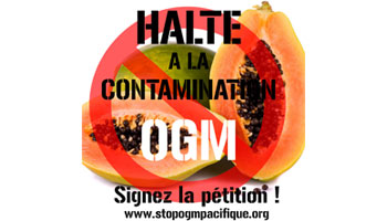 Pour un moratoire sur l'importation de semences de papayes en Nouvelle-Calédonie