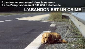 Pétition pour une peine plus sévère contre les maltraitances faites aux animaux.