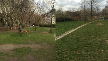 Pour la création d'espaces de liberté réservés aux chiens dans Paris