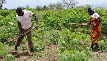 Des milliers de paysannes et de paysans chassés de leurs terres : STOPPONS LA NOUVELLE ALLIANCE  DU G7 !