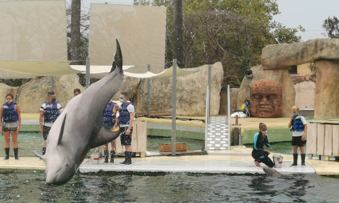 Non à la fermeture définitive du marineland d'Antibes