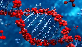 Clémence dans la notation de l'épreuve de Physique-Chimie