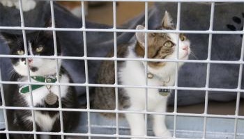 Pour la fermeture du refuge Savoir donner