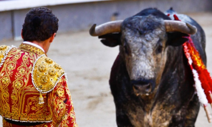 Pour l’abolition définitive de la corrida en France