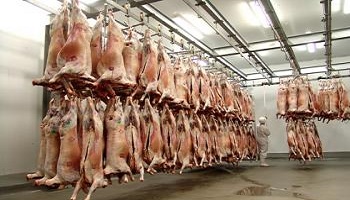 Arrêter de manger de la viande